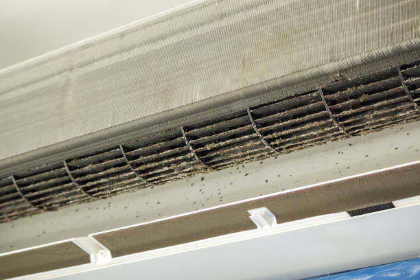 Best Air Duct Cleaning Near Me  in USA